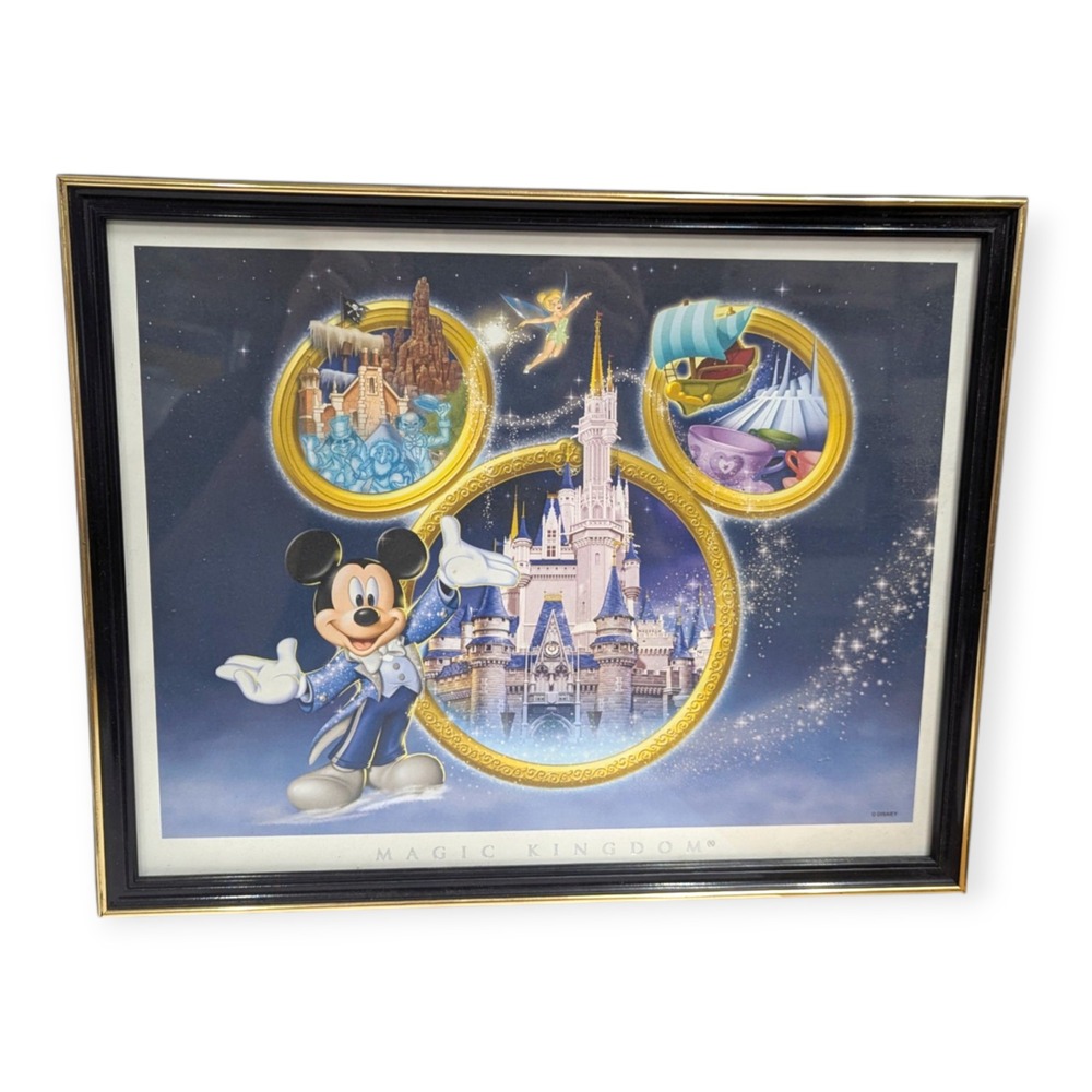 Disney Magic Kingdom Framed Art Print Mickey Mouse Cinderella Castle 11x14